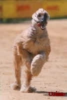 Usina 5 08 2.jpg (17641 Byte)