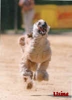 Usina 5 08.jpg (14921 Byte)