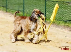 Usine Traing 10.jpg (164036 Byte)