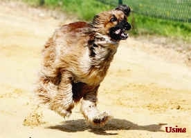 Usine Training 2010.jpg (143794 Byte)