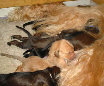 1 Woche 4.jpg (41102 Byte)