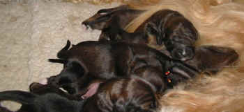 1 Woche 7.jpg (32312 Byte)