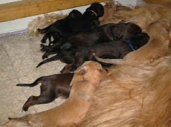 1 Woche.jpg (44034 Byte)