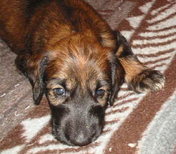 4 Wo 8.jpg (60295 Byte)