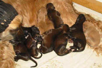 5-tag-2.JPG (24963 Byte)