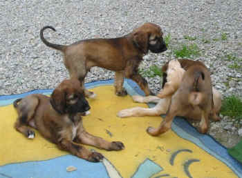 6 Wo 4.jpg (56630 Byte)