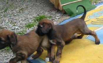 6 Wo 7.jpg (46444 Byte)